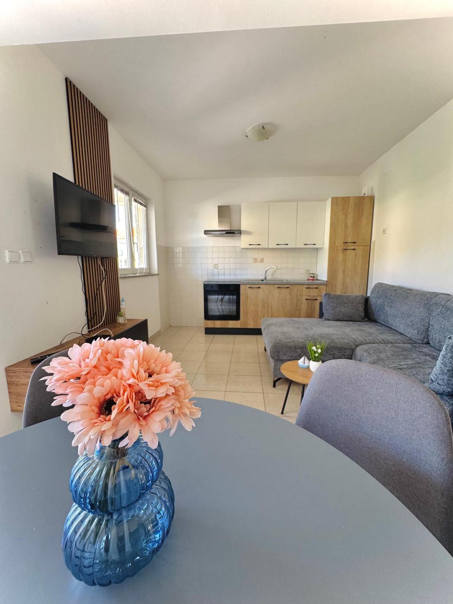 Apartments Elvira Drage Extérieur photo
